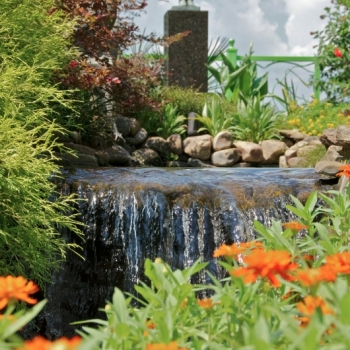 lower-waterfall-in-tea-garden