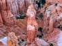 Utah's National Parks - Our Second 2021 Summer Venture Gallery