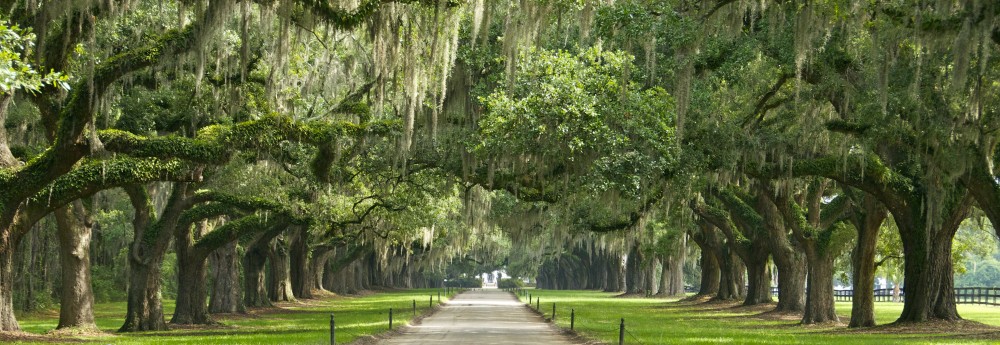 Boone Hall Plantation in Charleston, SC