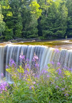 Tahquamenon Falls in the Upper Peninsula of Michigan