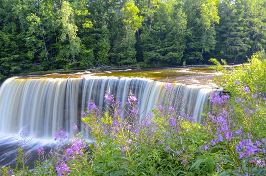 Tahquamenon Falls in the Upper Peninsula of Michigan